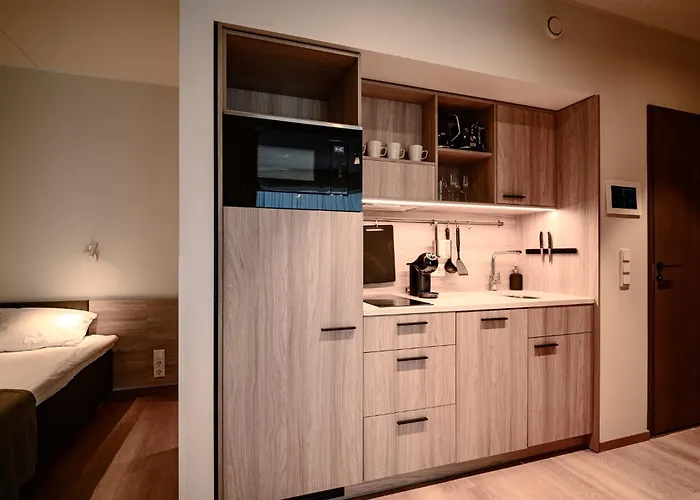 Lurich Residences 4* タリン